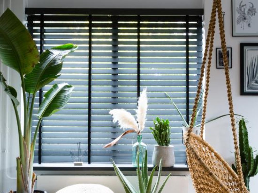 jaloezieën van hout Groningen