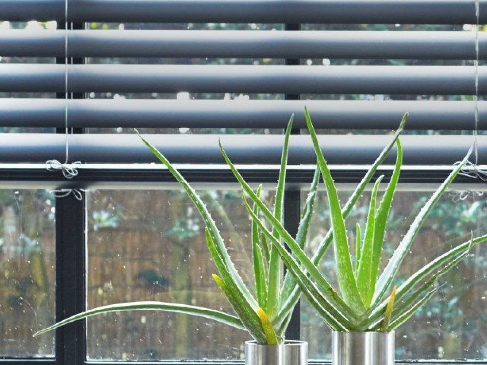 Elektrische jaloezieën met app