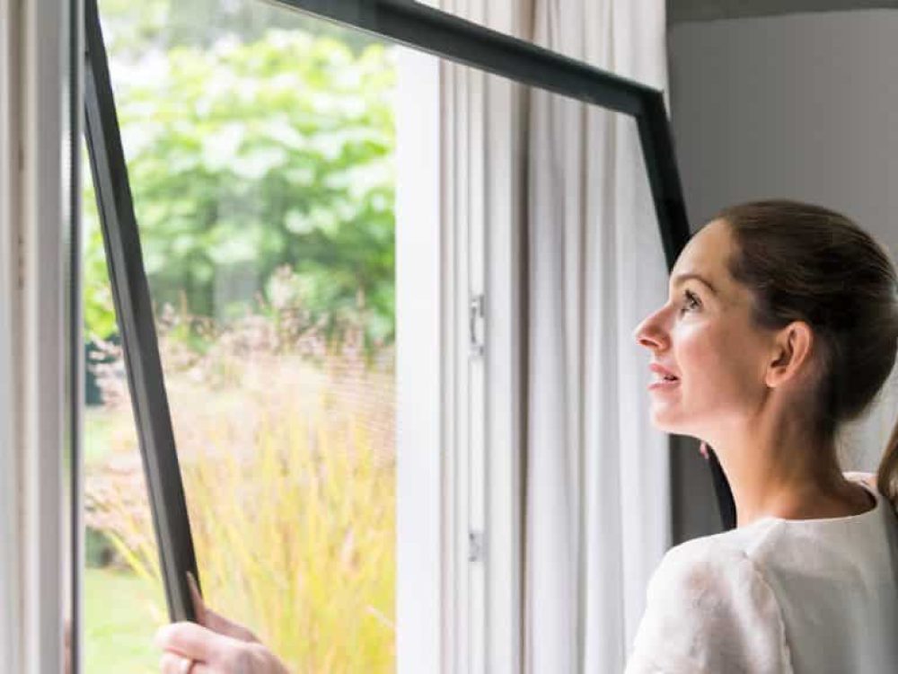 Inzethor Venster Visie Bedum