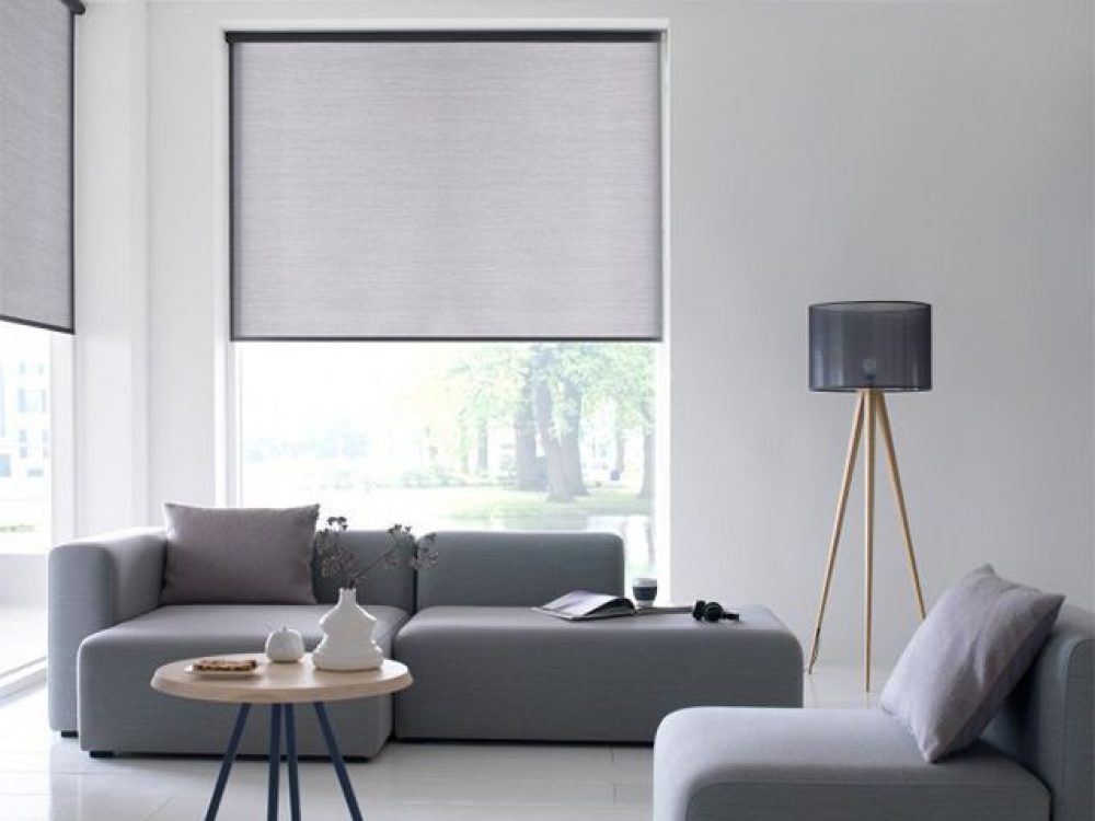 Venster Visie Bedum Rolgordijn 1